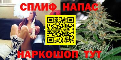 гидра Лесосибирск