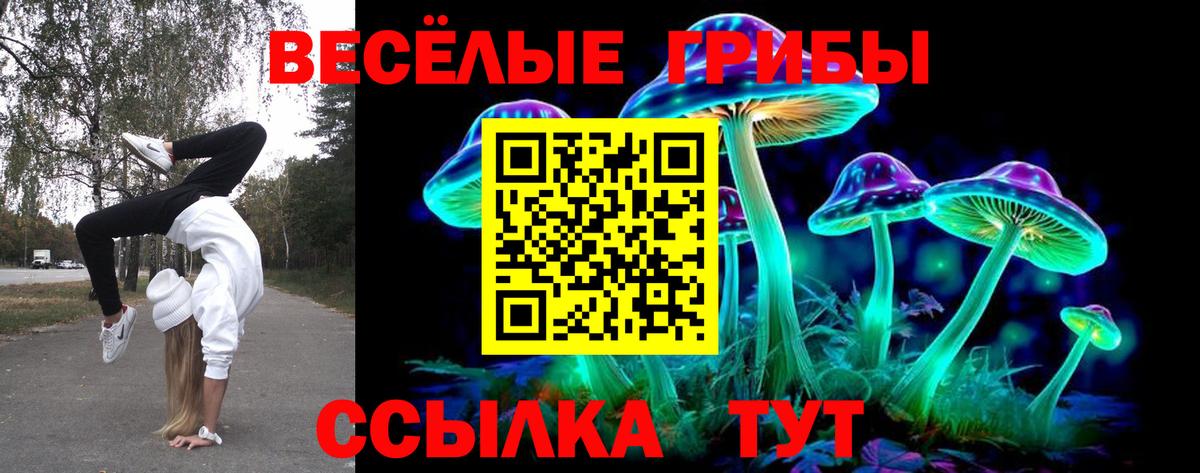 Вичуга  купить наркотики сайты  Вход с VPN  Галлюциногенные грибы ЛСД 